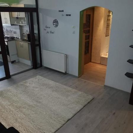 Ana Lux Apartments Brasov Luaran gambar