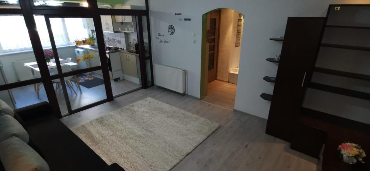 Ana Lux Apartments Brasov Luaran gambar