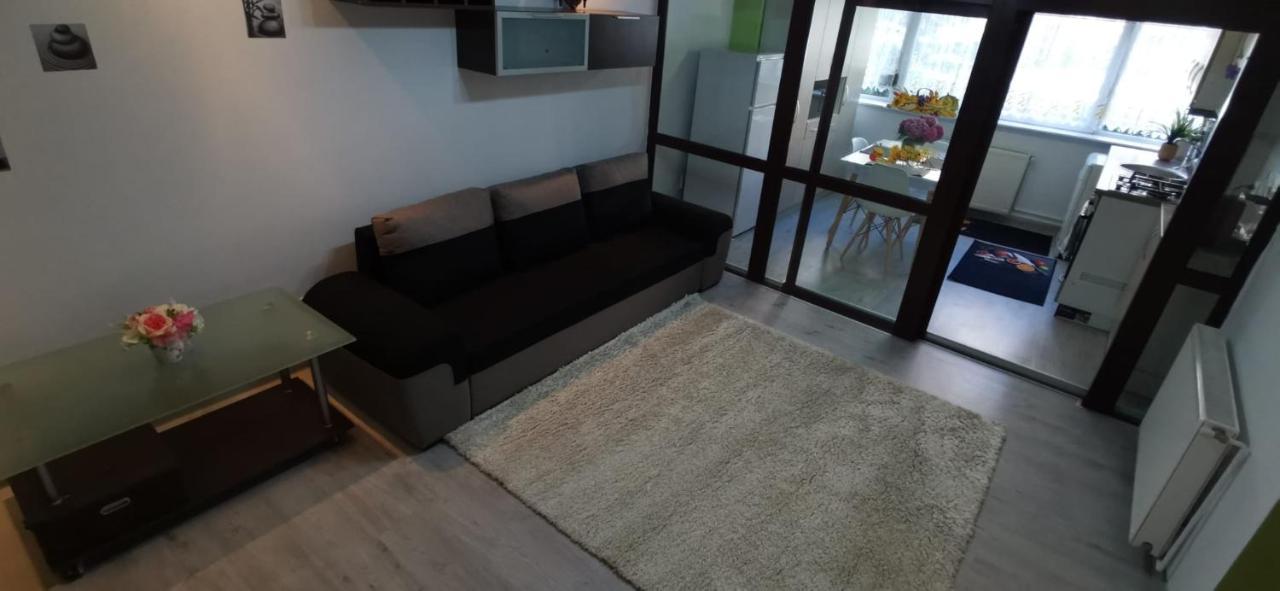 Ana Lux Apartments Brasov Luaran gambar